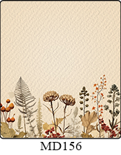 Folders
